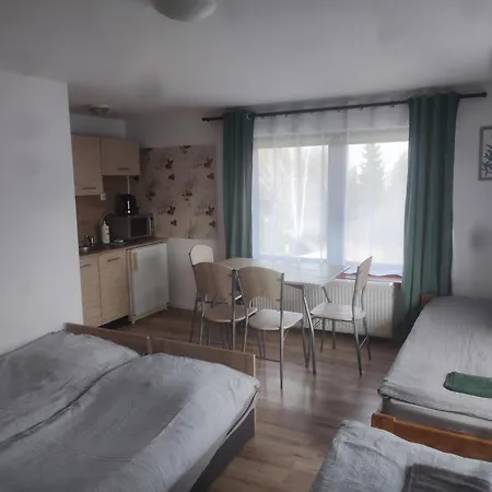 Tczew-duze Pokoje! 公寓 *