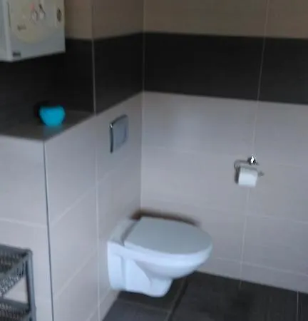 公寓 Tczew-duze Pokoje! 特切夫